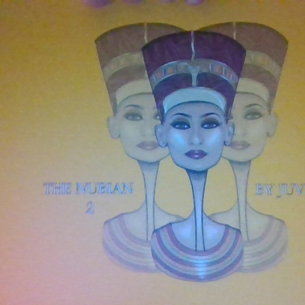 Juvia's Place The Nubian II Eyeshadow Palette